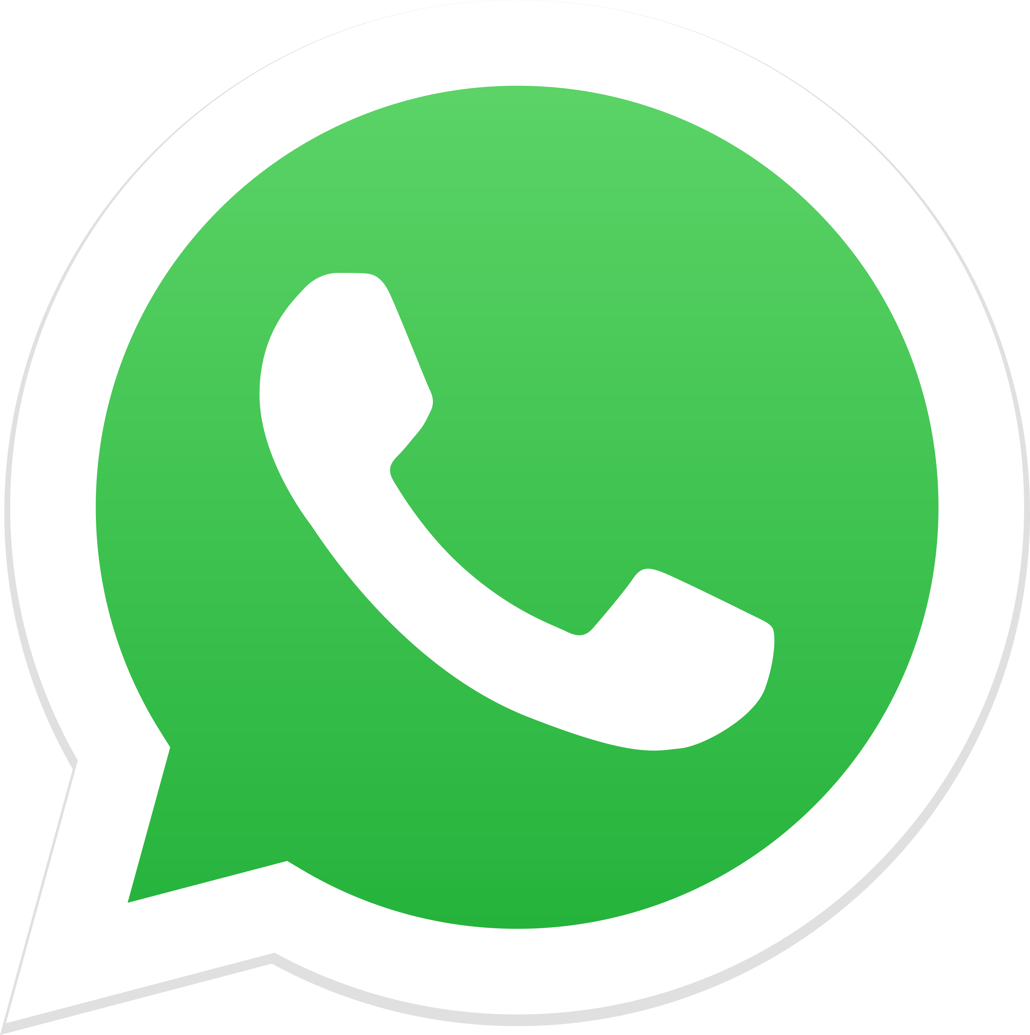 Nielze Souza Lima Contato WhatsApp